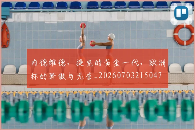 内德维德，捷克的黄金一代，欧洲杯的骄傲与无奈_20260703215047