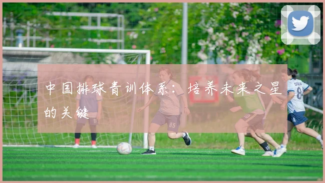 中国排球青训体系:培养未来之星的关键